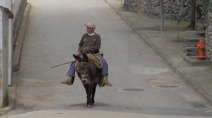 man_donkey01