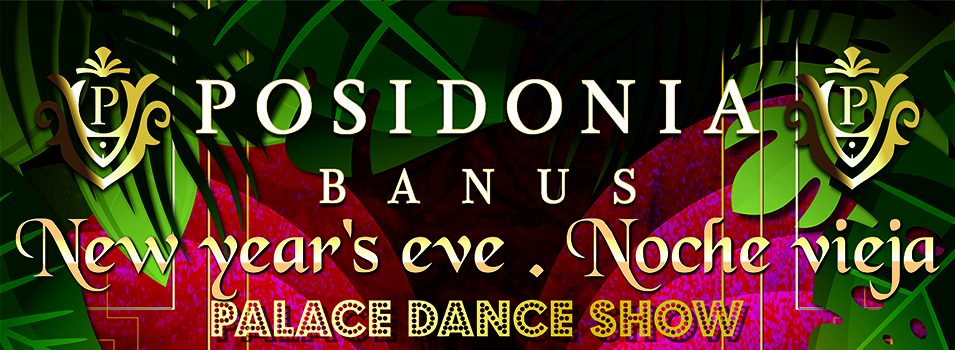 New Year’s Eve Palace Dance Show and Party