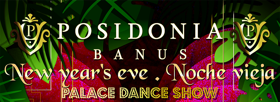 New Year’s Eve Palace Dance Show and Party