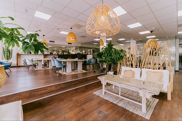 Coworking and Meeting Room Hire San Pedro